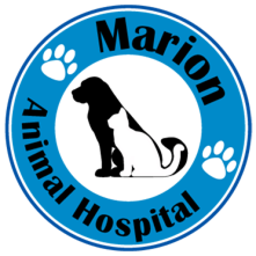 Services Marion Animal Hospital